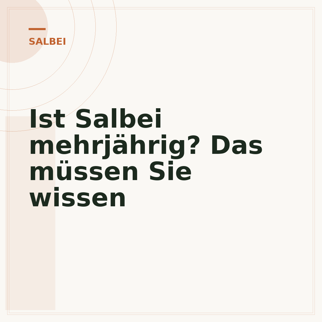 Ist Salbei mehrjährig? Das müssen Sie wissen