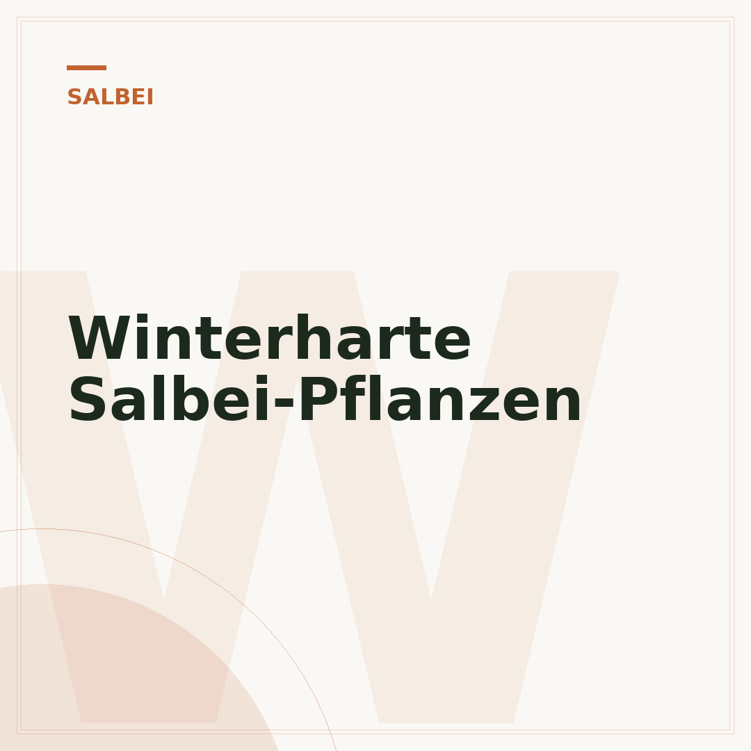 Winterharte Salbei-Pflanzen