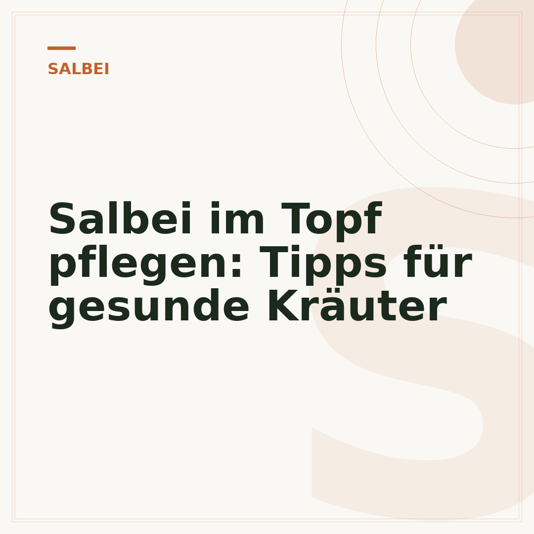 Salbei im Topf pflegen: Tipps für gesunde Kräuter