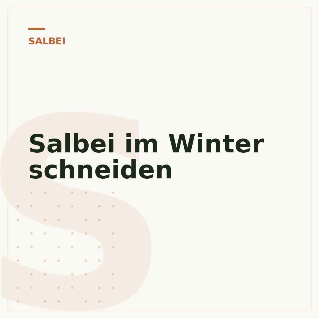 Salbei im Winter schneiden