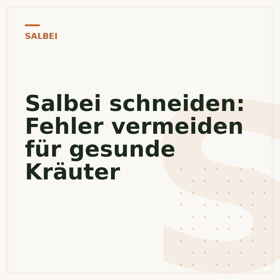 Salbei schneiden: Fehler vermeiden für gesunde Kräuter