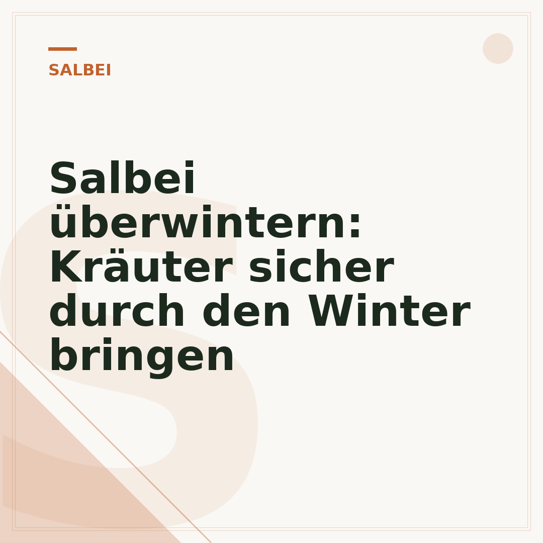 Salbei überwintern: Kräuter sicher durch den Winter bringen