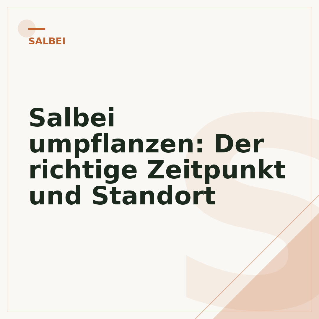 Salbei umpflanzen: Der richtige Zeitpunkt und Standort
