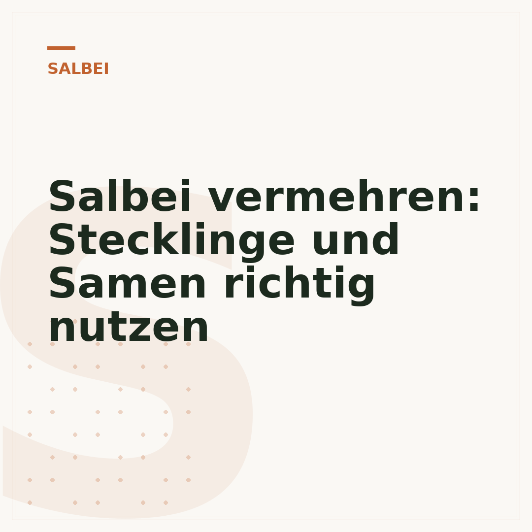 Salbei vermehren: Stecklinge und Samen richtig nutzen