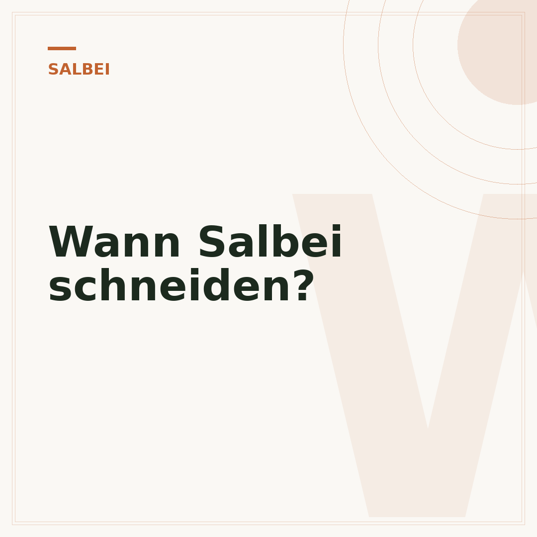 Wann Salbei schneiden?