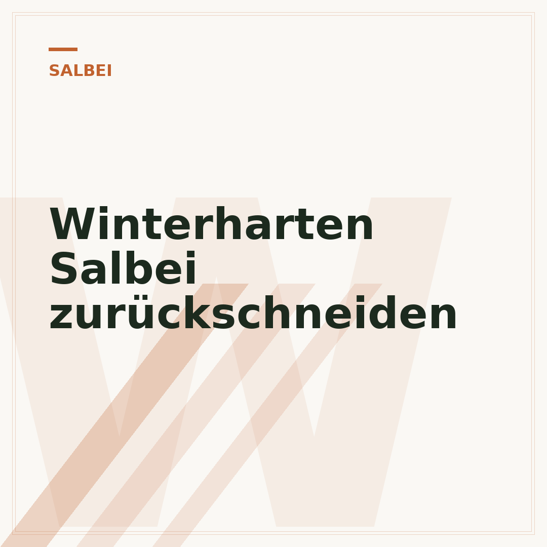 Winterharten Salbei zurückschneiden