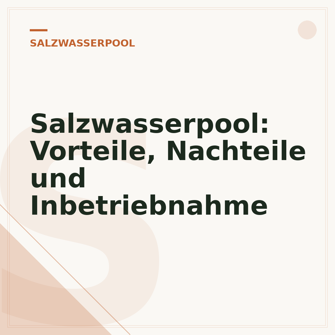 Salzwasserpool: Vorteile, Nachteile und Inbetriebnahme