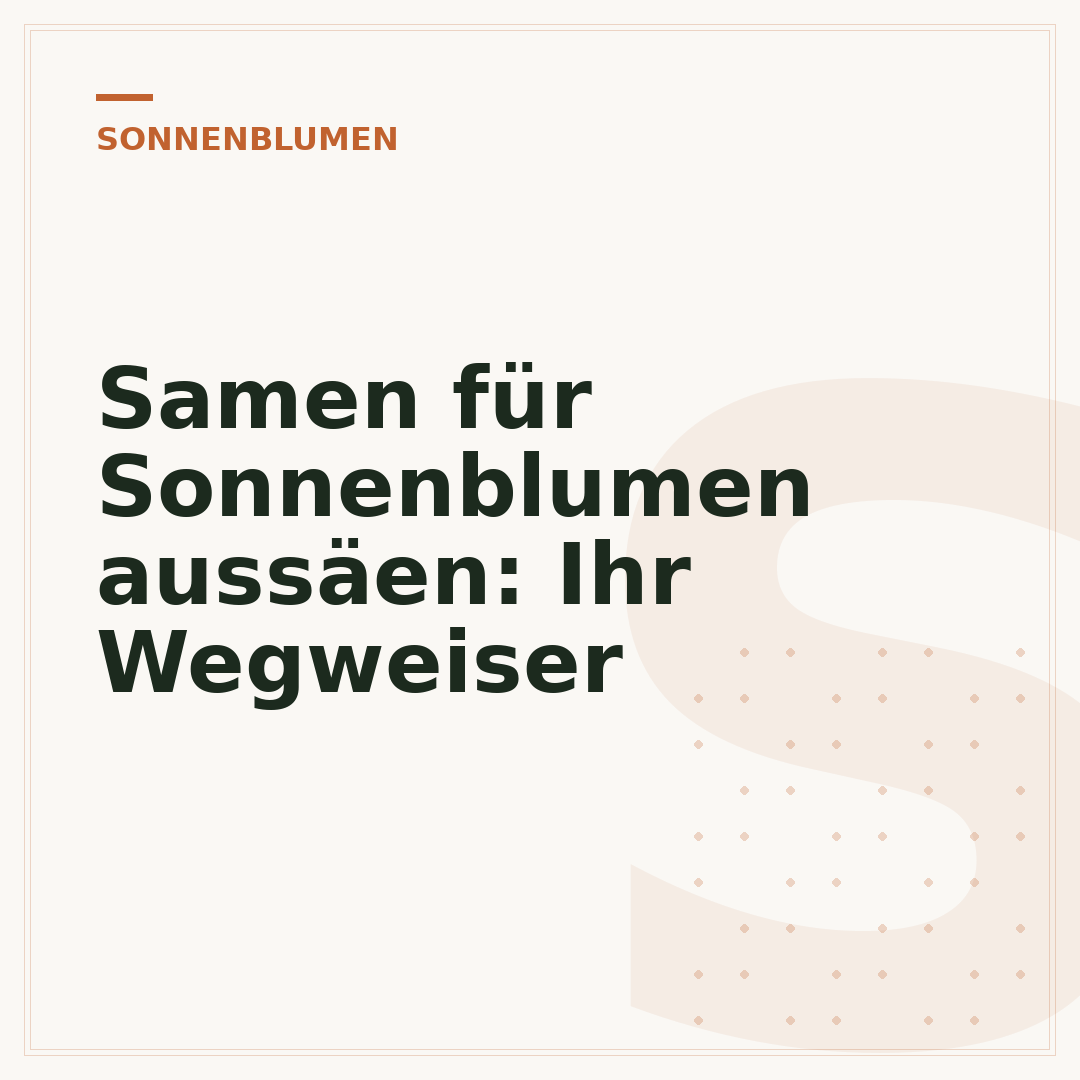 Samen für Sonnenblumen aussäen: Ihr Wegweiser