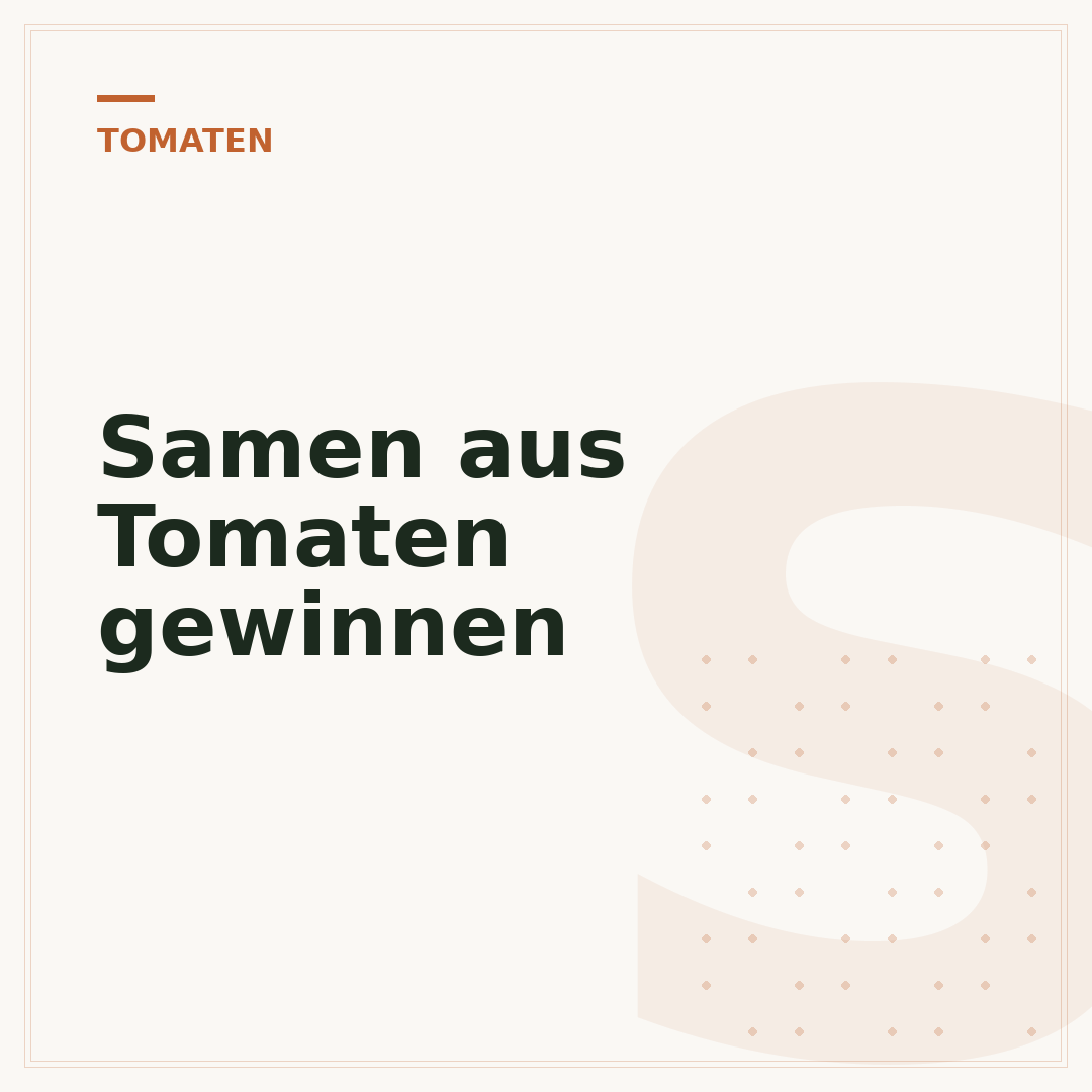 Samen aus Tomaten gewinnen