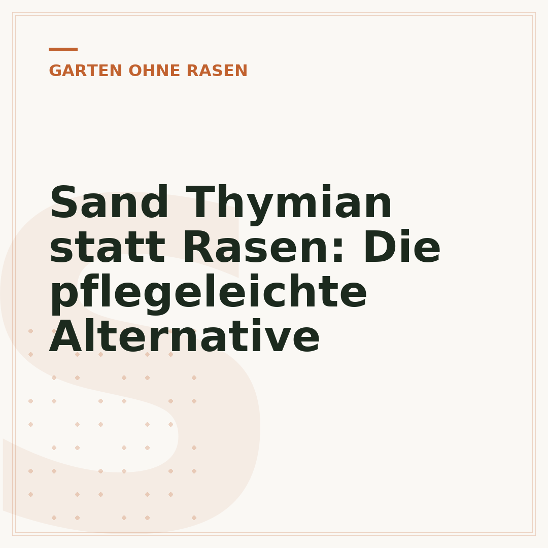 Sand Thymian statt Rasen: Die pflegeleichte Alternative