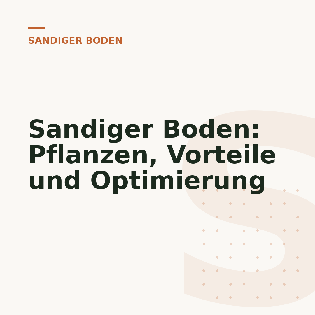 Sandiger Boden: Pflanzen, Vorteile und Optimierung