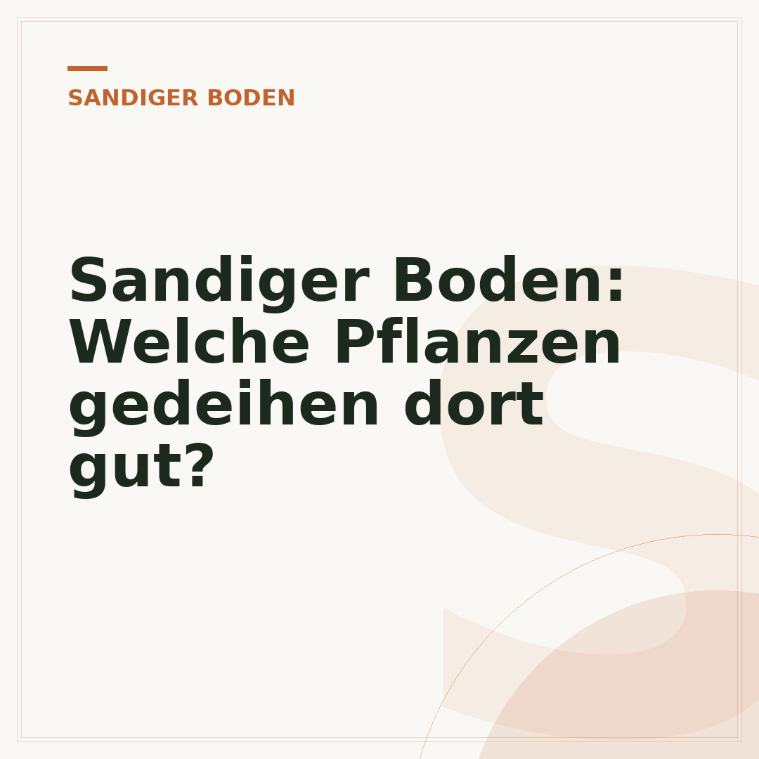 Sandiger Boden: Welche Pflanzen gedeihen dort gut?