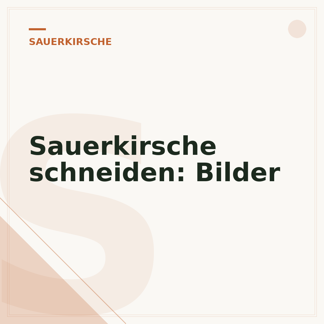 Sauerkirsche schneiden: Bilder