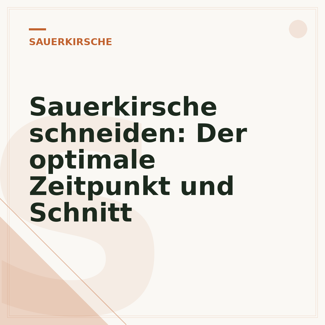 Sauerkirsche schneiden: Der optimale Zeitpunkt und Schnitt