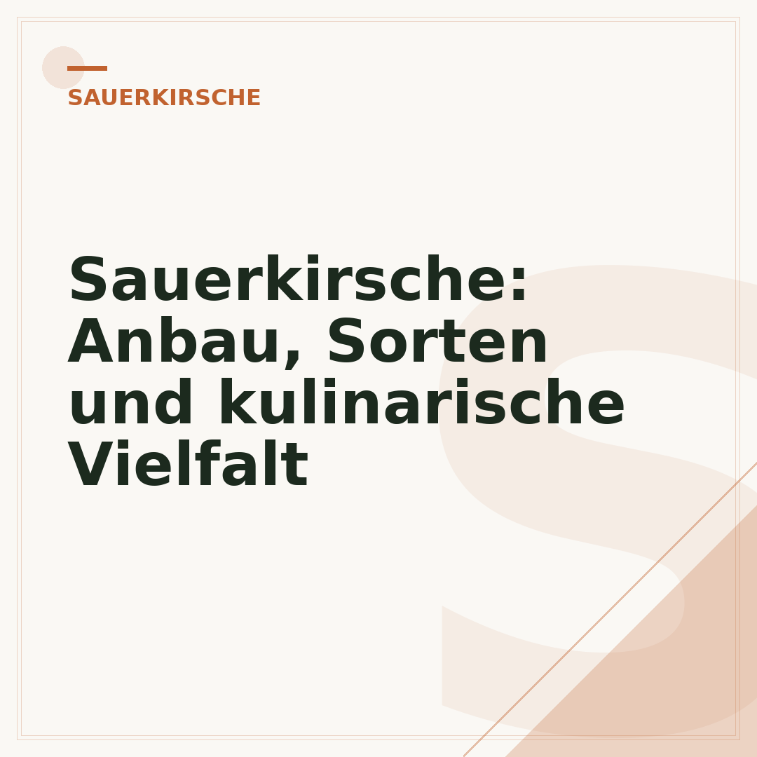 Sauerkirsche: Anbau, Sorten und kulinarische Vielfalt