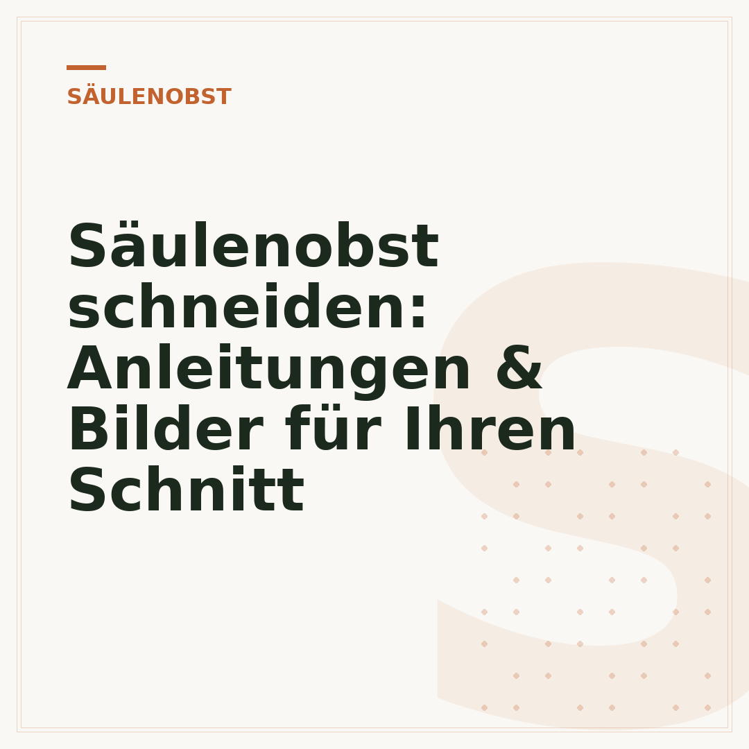 Säulenobst schneiden: Anleitungen & Bilder für Ihren Schnitt