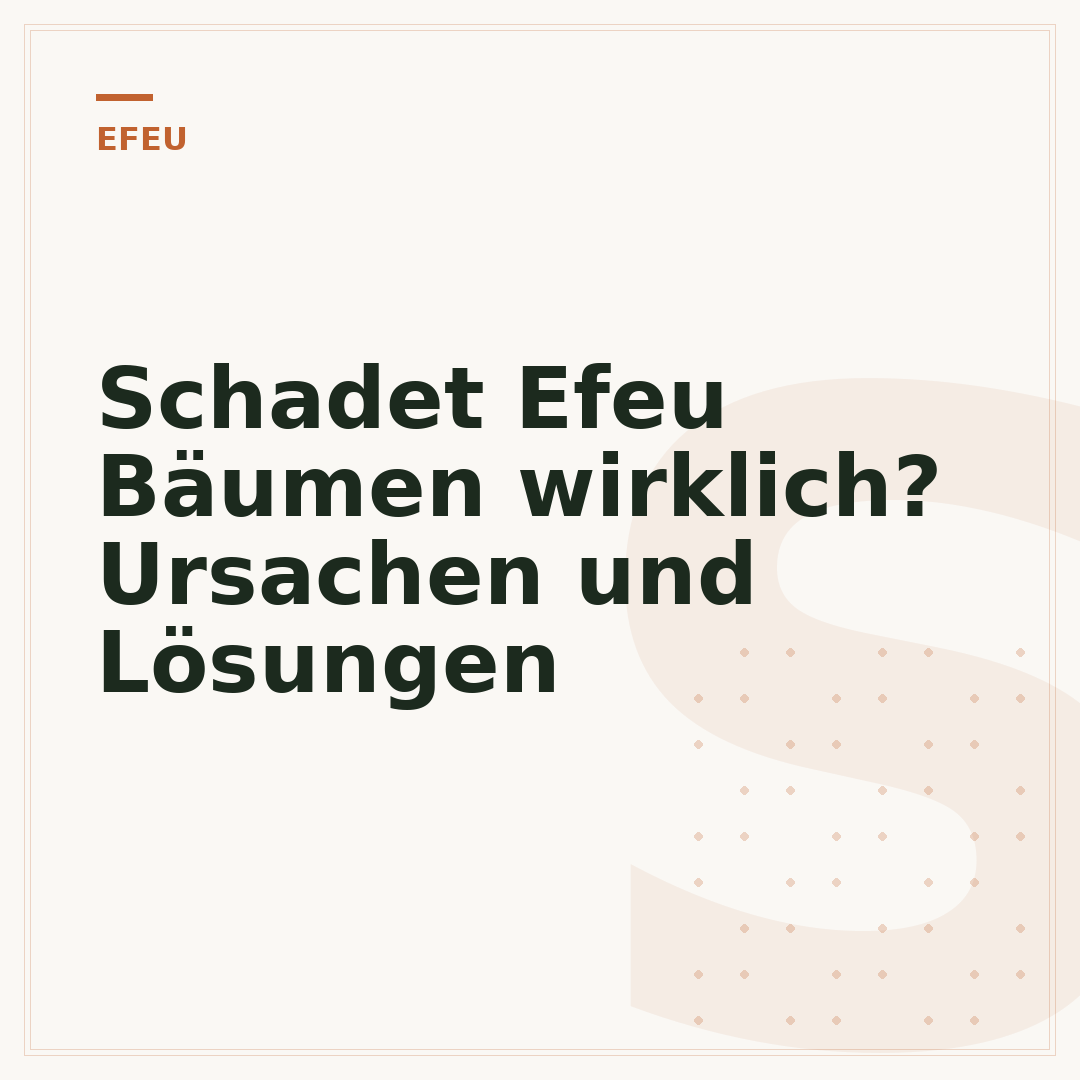 Schadet Efeu Bäumen wirklich? Ursachen und Lösungen