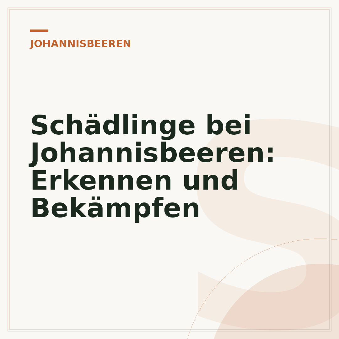 Schädlinge bei Johannisbeeren: Erkennen und Bekämpfen