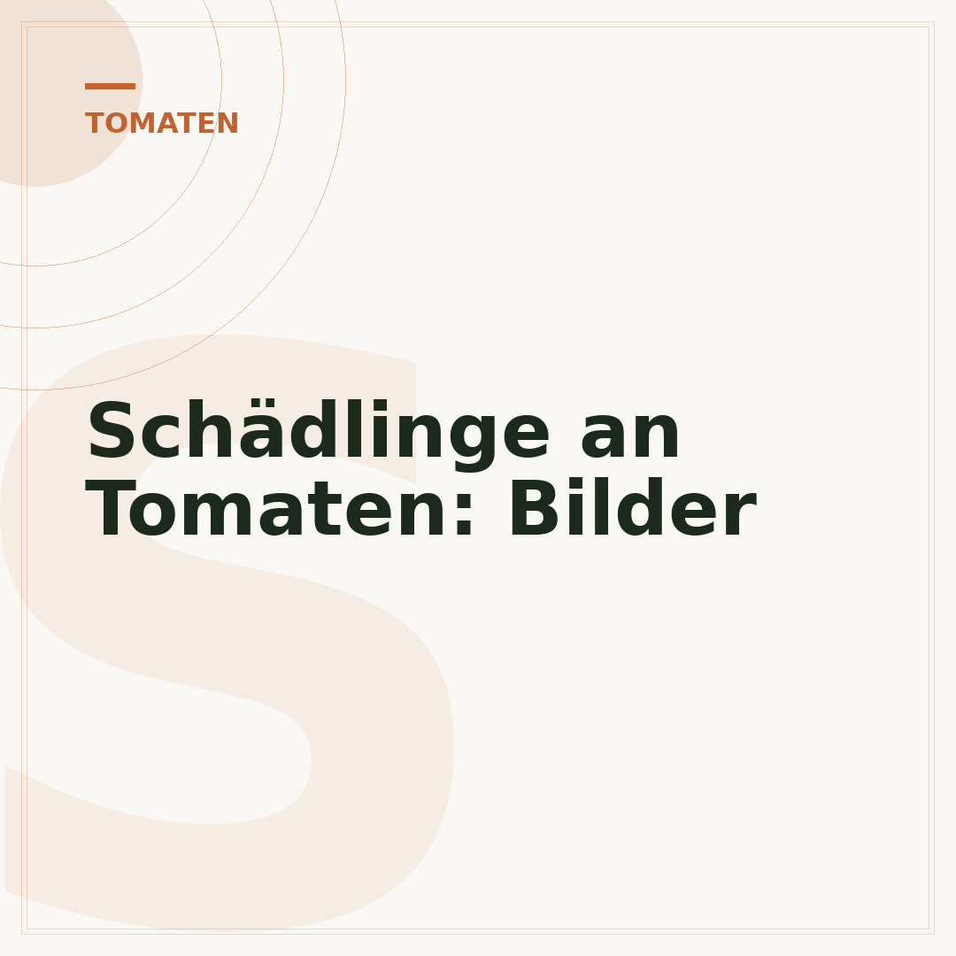 Schädlinge an Tomaten: Bilder