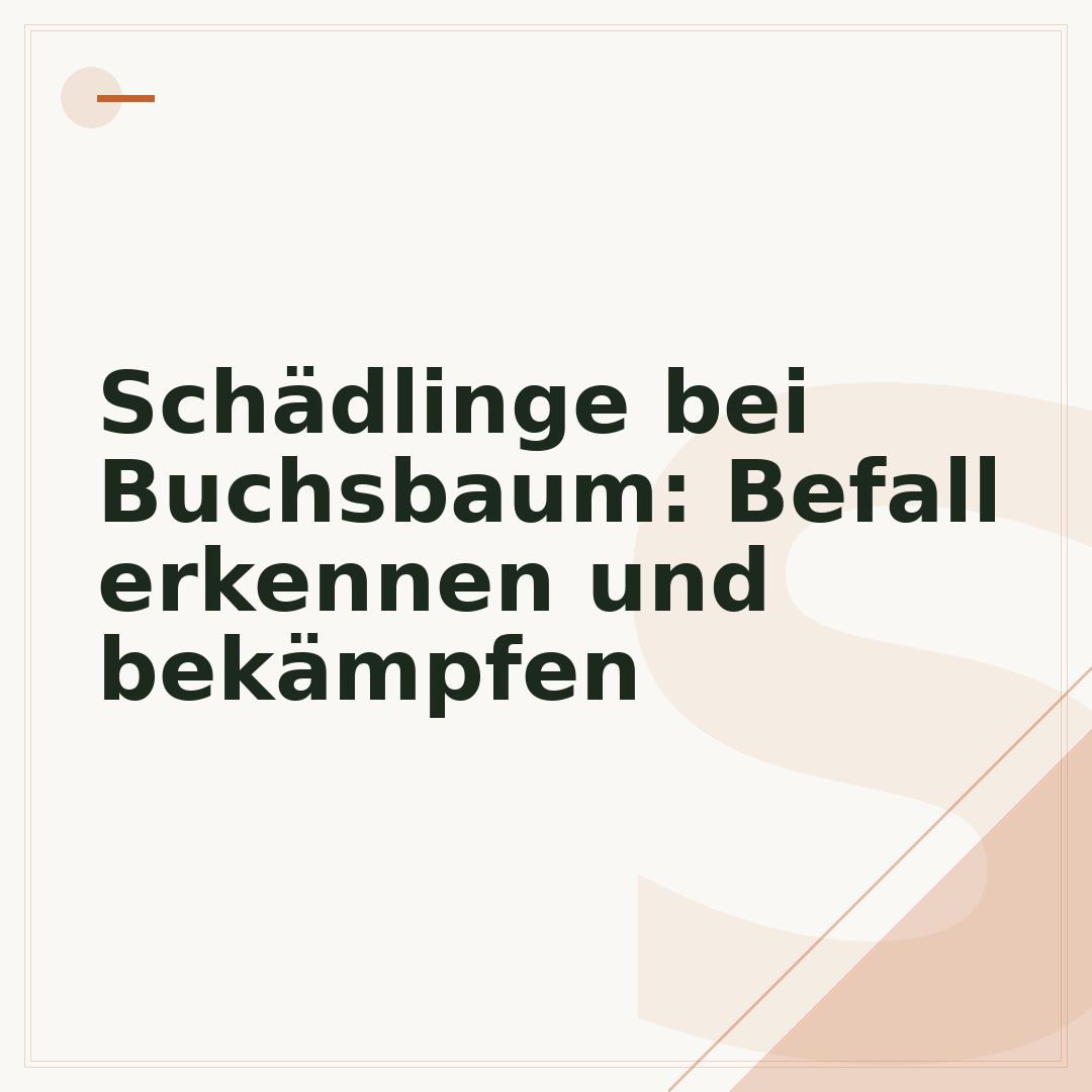 Schädlinge bei Buchsbaum: Befall erkennen und bekämpfen