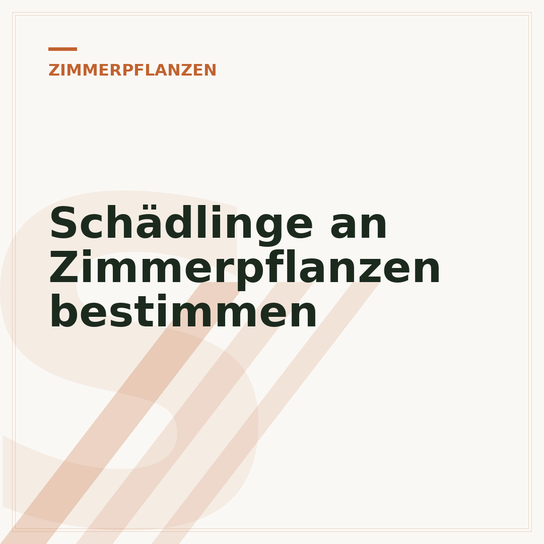 Schädlinge an Zimmerpflanzen bestimmen