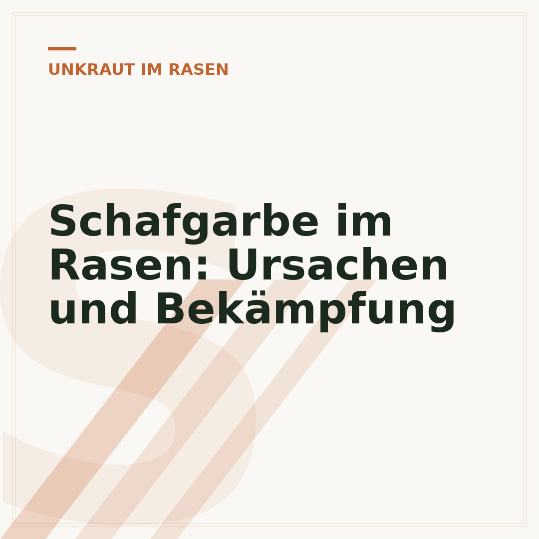 Schafgarbe im Rasen: Ursachen und Bekämpfung