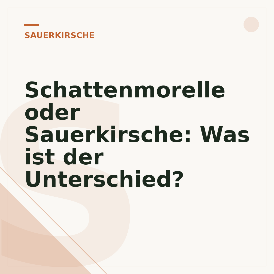 Schattenmorelle oder Sauerkirsche: Was ist der Unterschied?