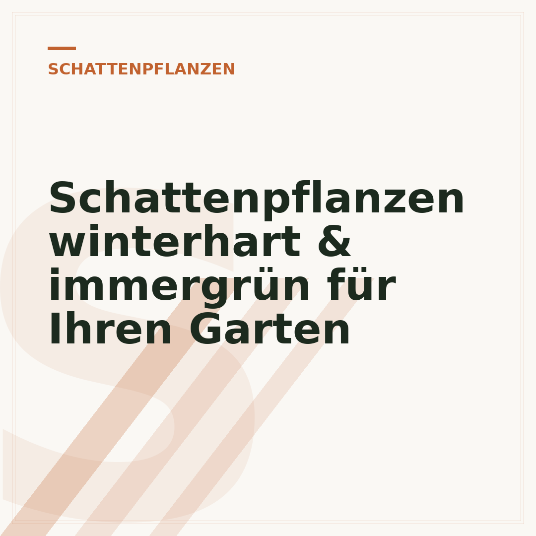 Schattenpflanzen winterhart & immergrün für Ihren Garten