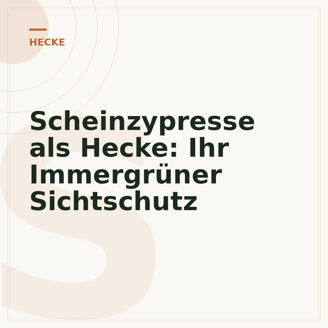 Scheinzypresse als Hecke: Ihr Immergrüner Sichtschutz