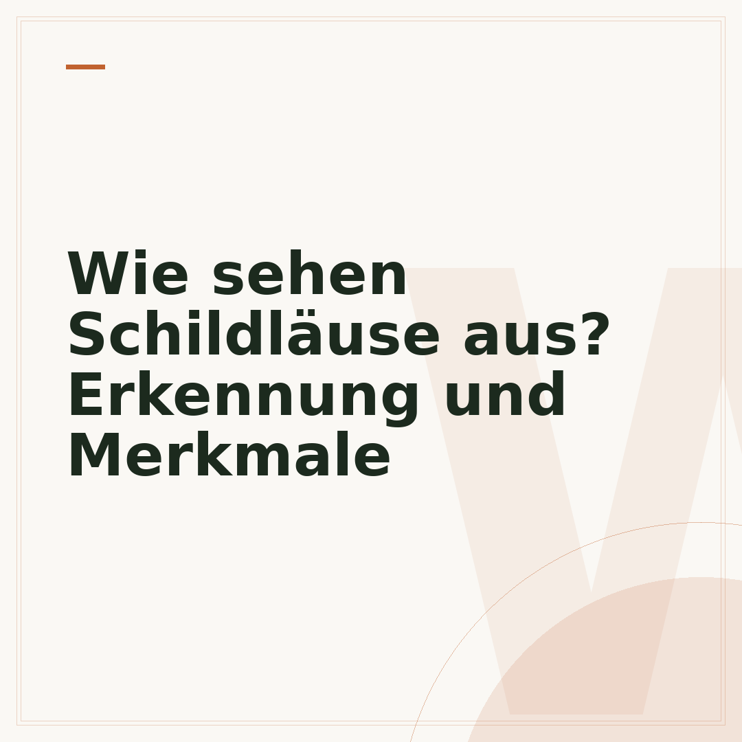 Wie sehen Schildläuse aus? Erkennung und Merkmale
