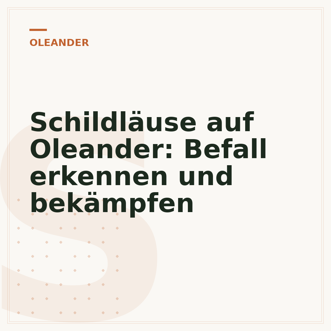 Schildläuse auf Oleander: Befall erkennen und bekämpfen