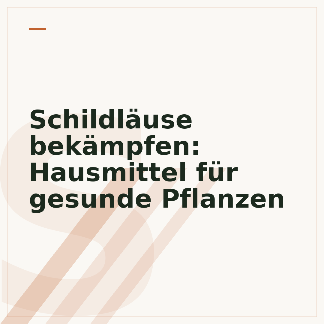 Schildläuse bekämpfen: Hausmittel für gesunde Pflanzen