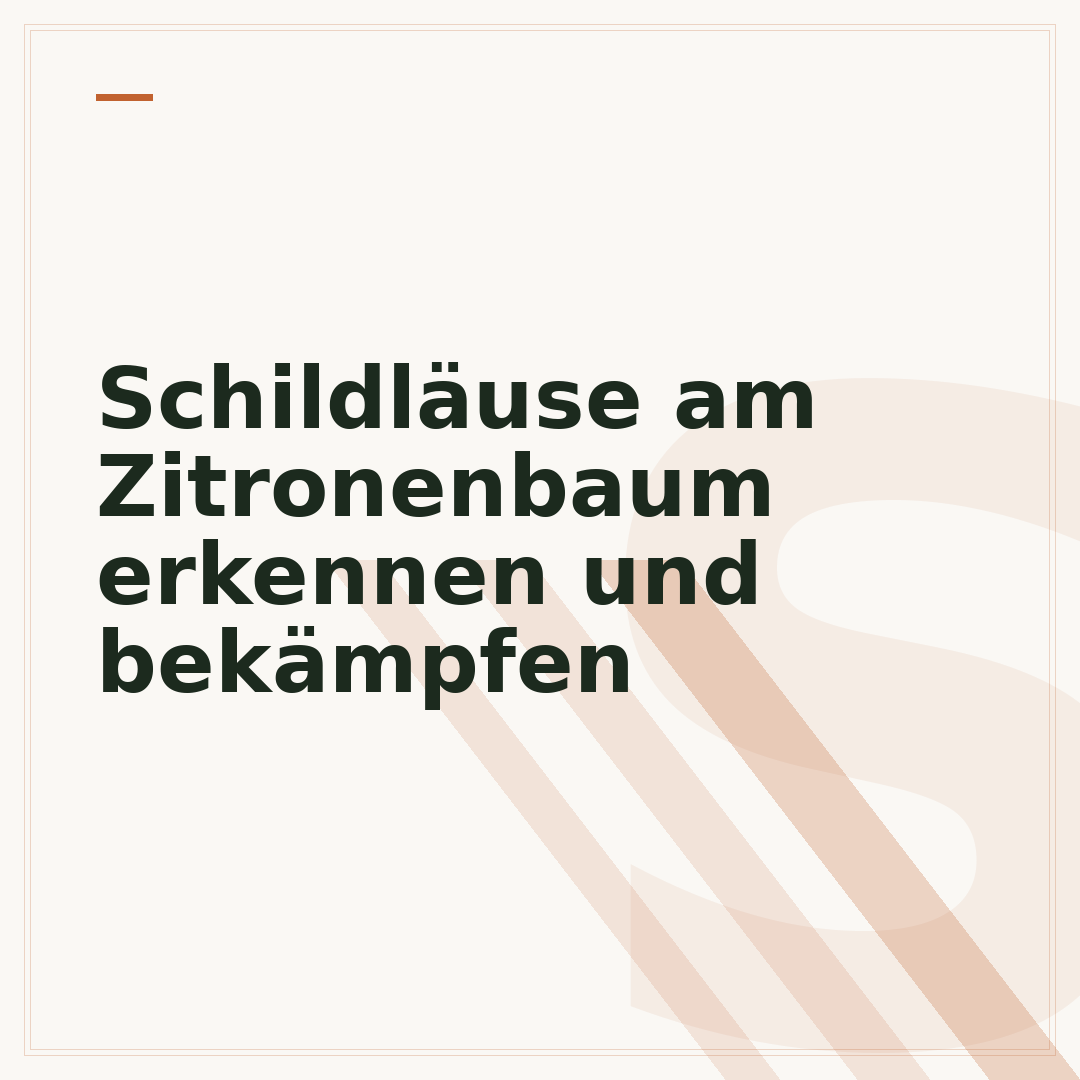 Schildläuse am Zitronenbaum erkennen und bekämpfen