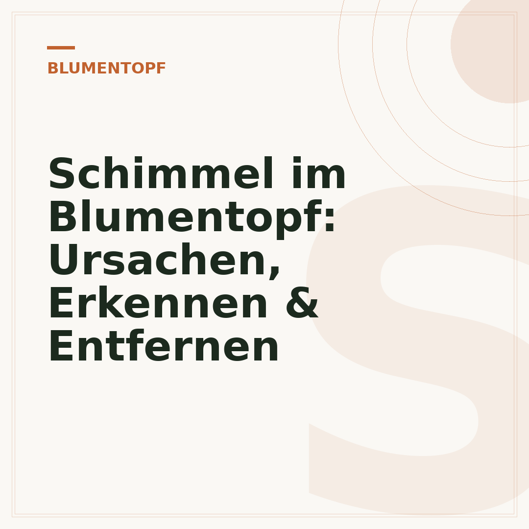 Schimmel im Blumentopf: Ursachen, Erkennen & Entfernen