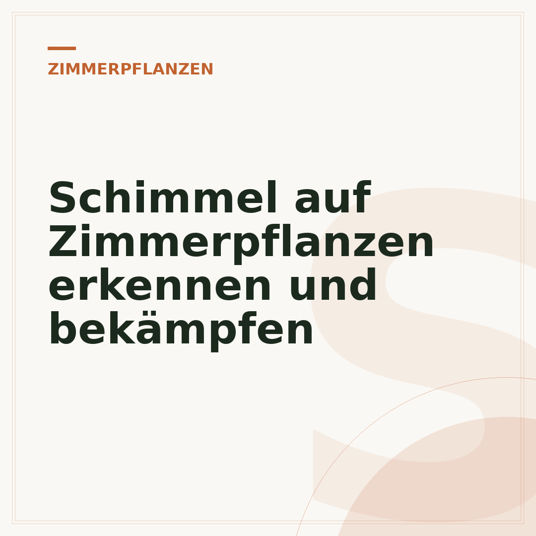 Schimmel auf Zimmerpflanzen erkennen und bekämpfen
