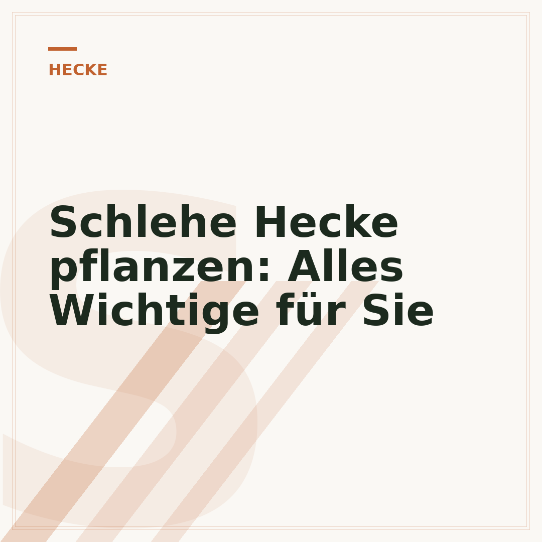Schlehe Hecke pflanzen: Alles Wichtige für Sie