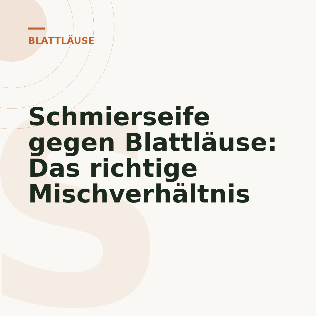 Schmierseife gegen Blattläuse: Das richtige Mischverhältnis