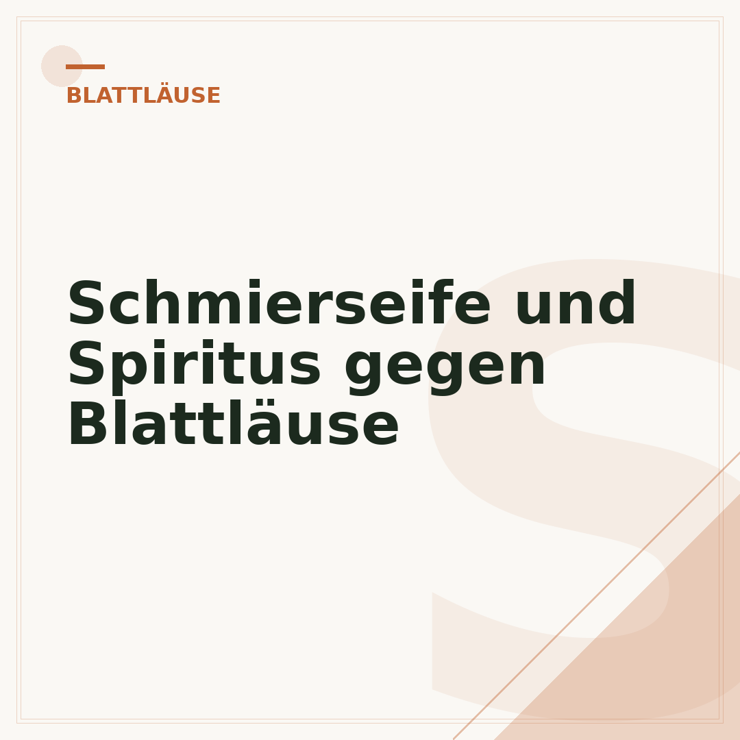 Schmierseife und Spiritus gegen Blattläuse
