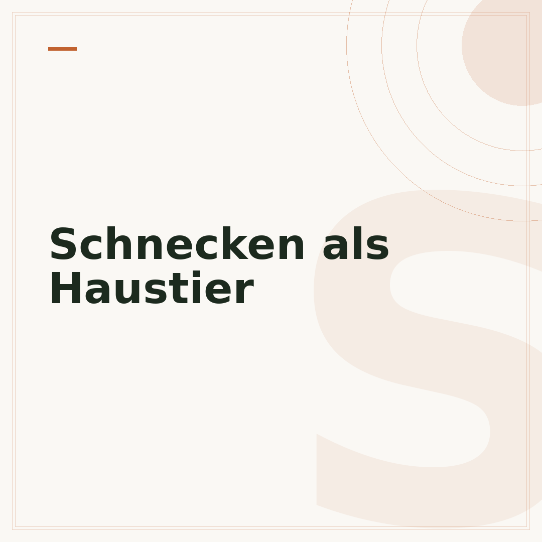 Schnecken als Haustier