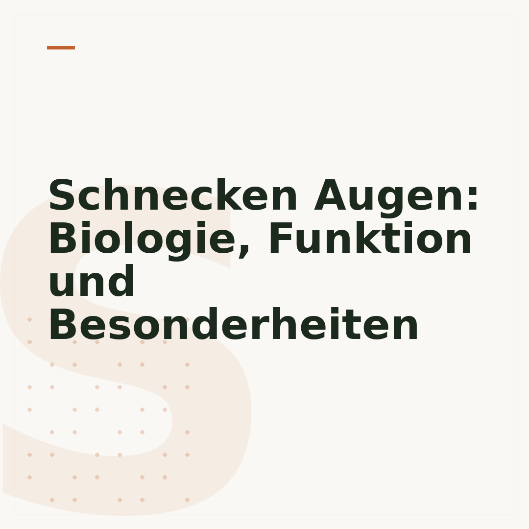 Schnecken Augen: Biologie, Funktion und Besonderheiten