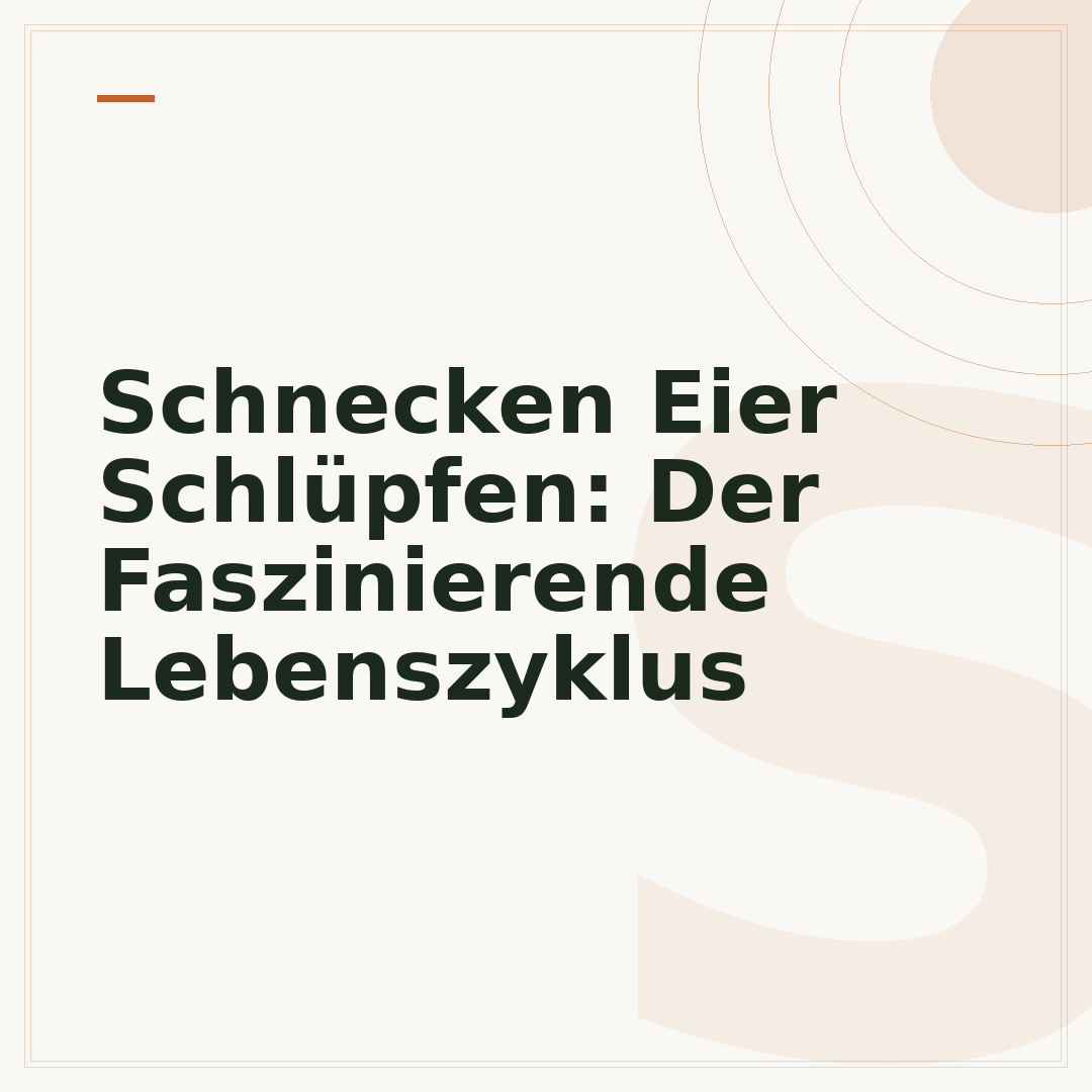 Schnecken Eier Schlüpfen: Der Faszinierende Lebenszyklus