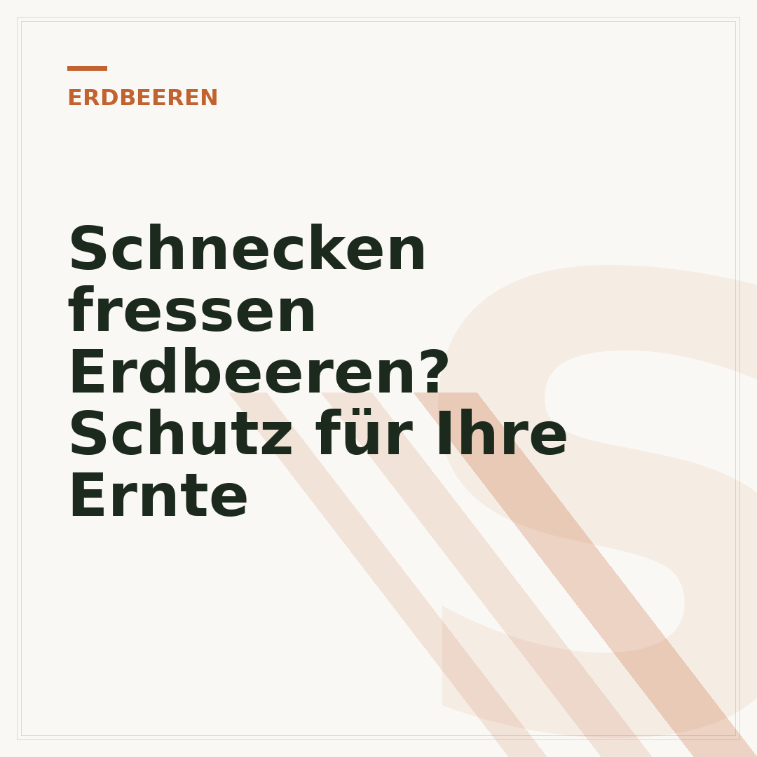 Schnecken fressen Erdbeeren? Schutz für Ihre Ernte