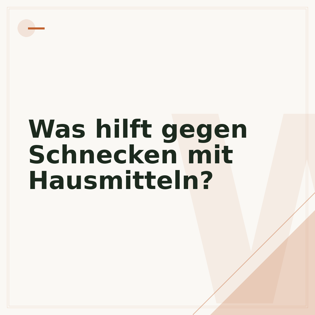 Was hilft gegen Schnecken mit Hausmitteln?