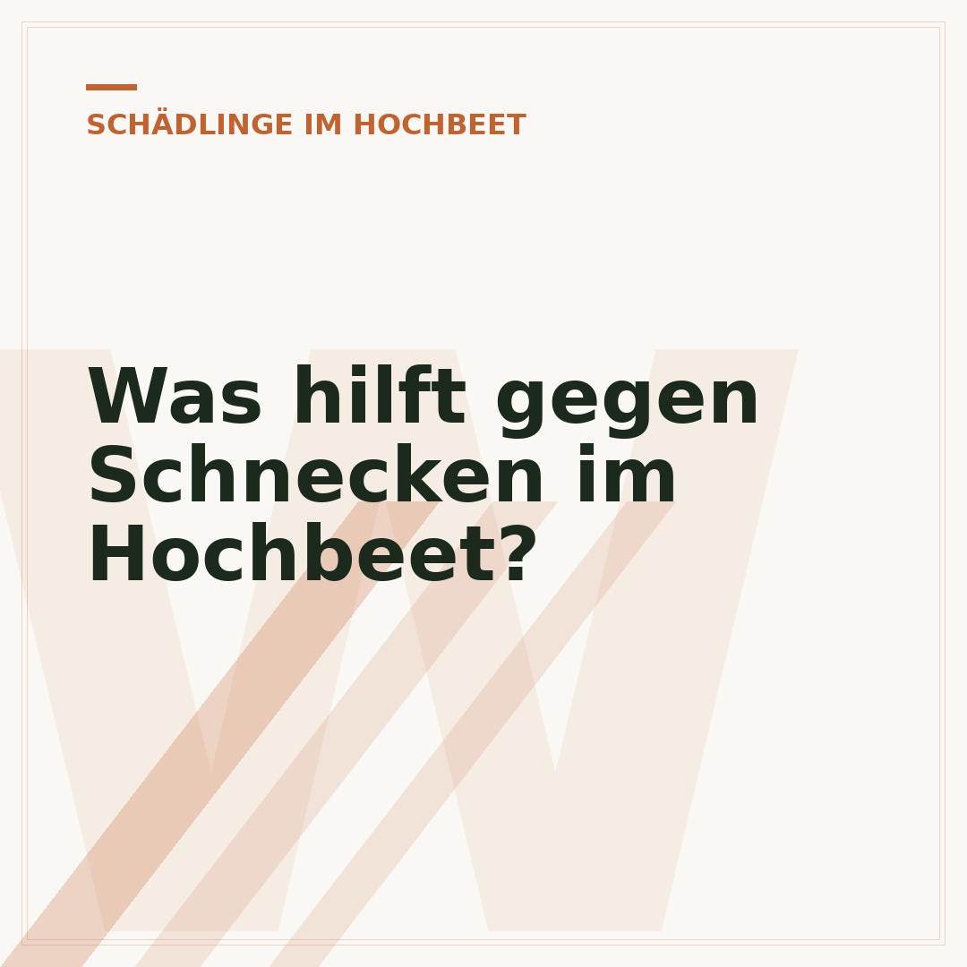 Was hilft gegen Schnecken im Hochbeet?