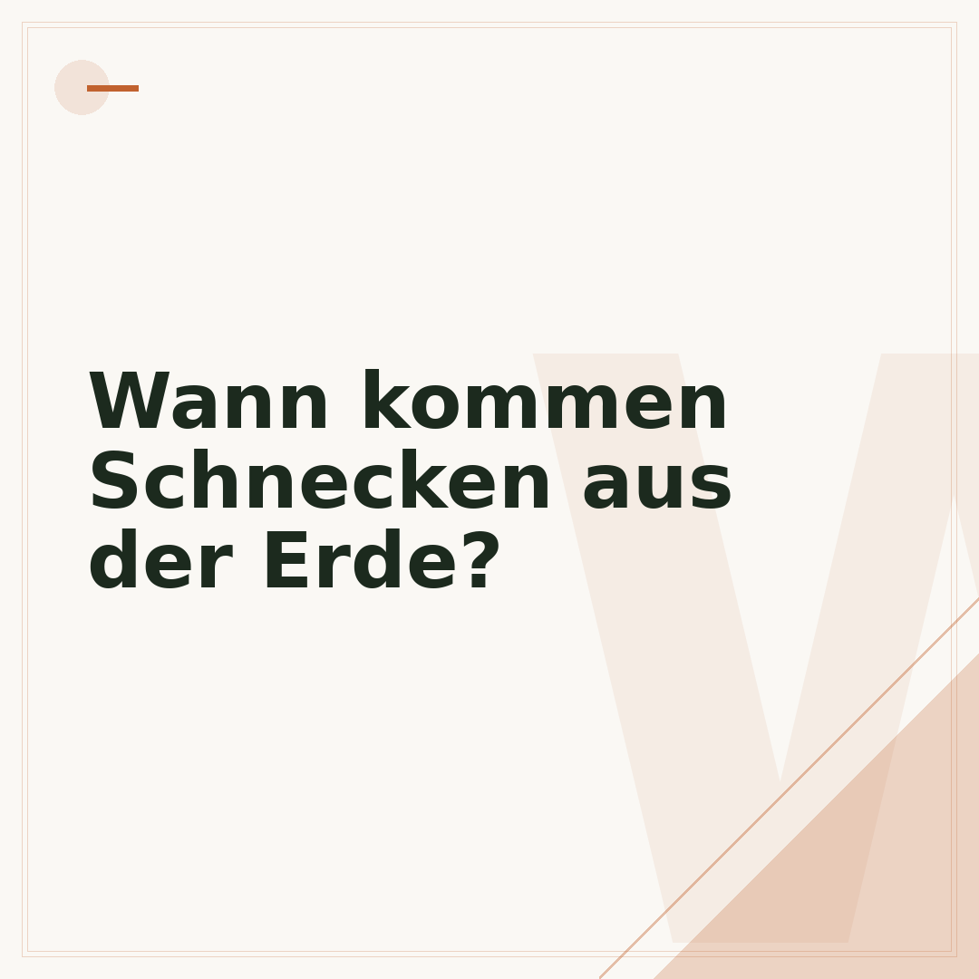 Wann kommen Schnecken aus der Erde?