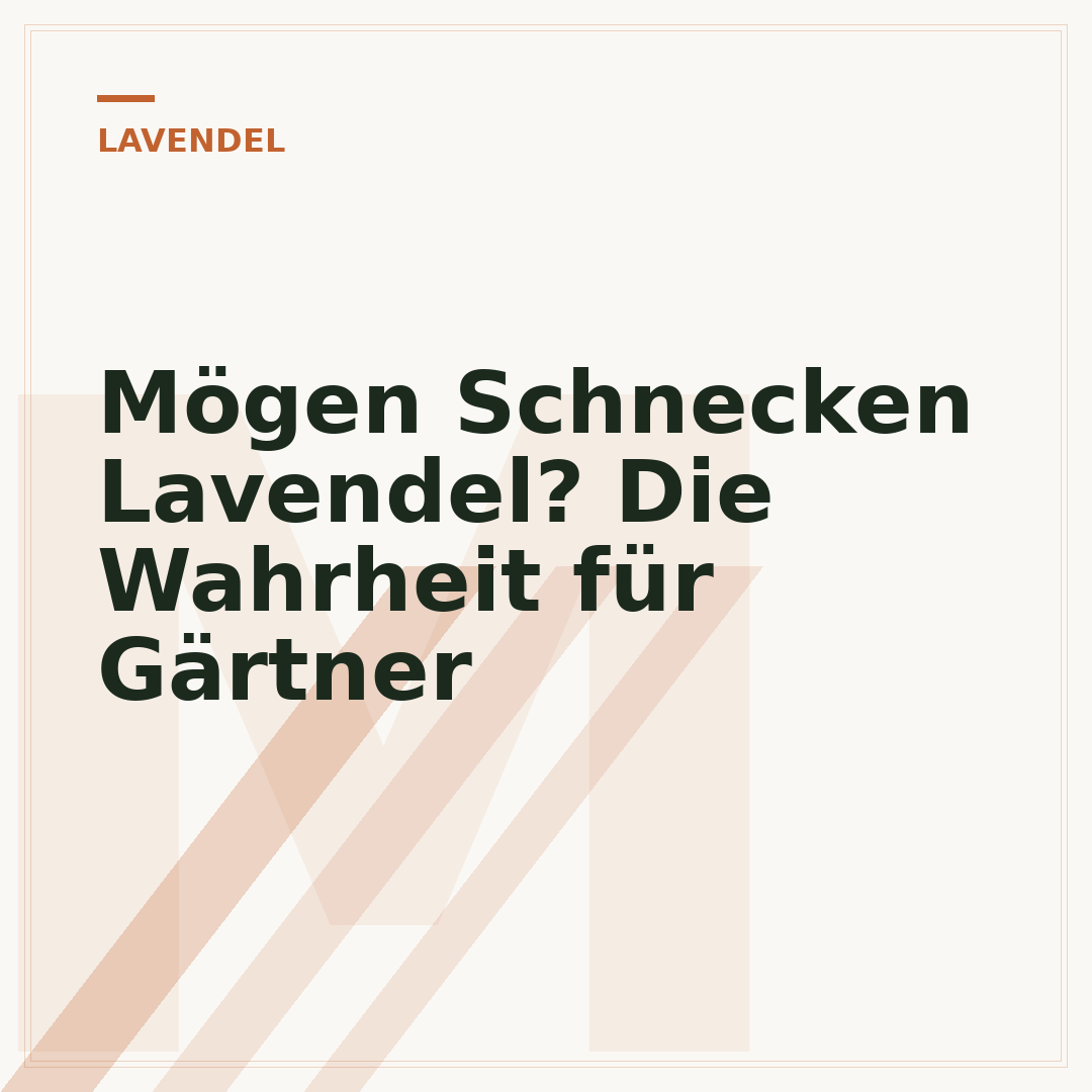 Mögen Schnecken Lavendel? Die Wahrheit für Gärtner