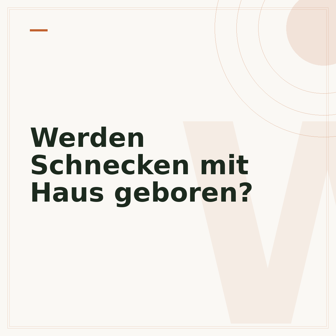 Werden Schnecken mit Haus geboren?