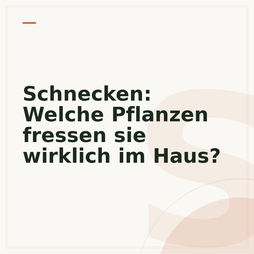 Schnecken: Welche Pflanzen fressen sie wirklich im Haus?