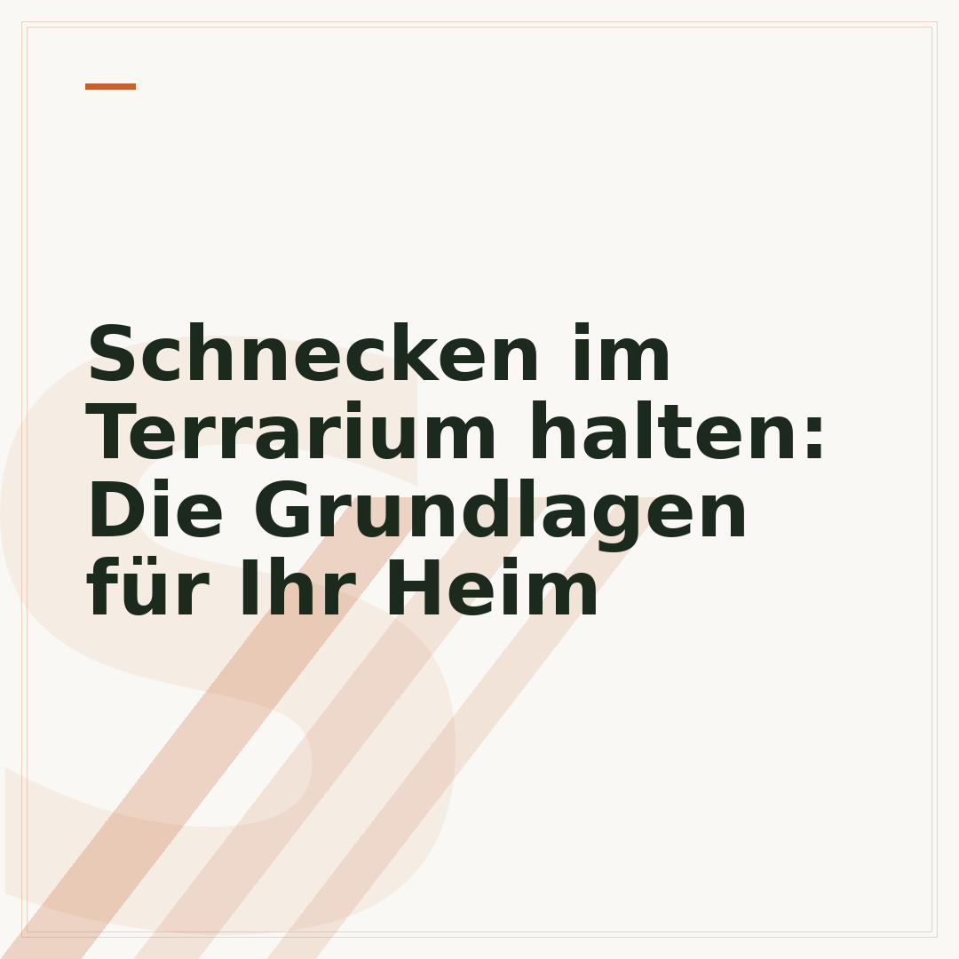 Schnecken im Terrarium halten: Die Grundlagen für Ihr Heim