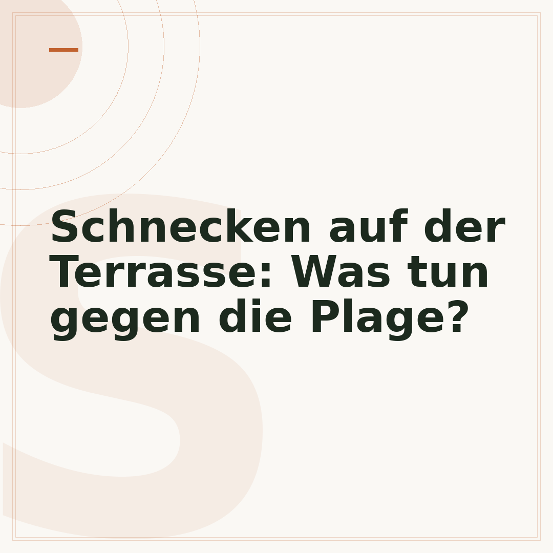 Schnecken auf der Terrasse: Was tun gegen die Plage?